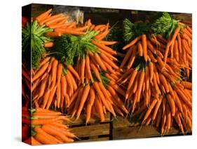 Carrots, Metkovic, Dalmatia, Croatia-Russell Young-Stretched Canvas