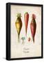 Carrots-null-Framed Poster