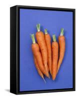 Carrots-Barbara Bonisolli-Framed Stretched Canvas