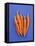 Carrots-Barbara Bonisolli-Framed Stretched Canvas