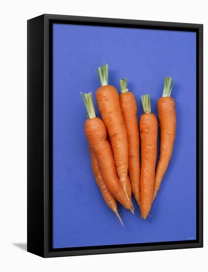 Carrots-Barbara Bonisolli-Framed Stretched Canvas