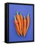 Carrots-Barbara Bonisolli-Framed Stretched Canvas