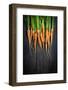 Carrots-Bozena_Fulawka-Framed Photographic Print