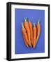 Carrots-Barbara Bonisolli-Framed Photographic Print