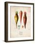 Carrots-null-Framed Art Print