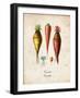 Carrots-null-Framed Art Print