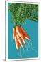 Carrots-Lantern Press-Mounted Art Print