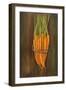 Carrots-Gigi Begin-Framed Giclee Print