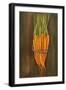 Carrots-Gigi Begin-Framed Giclee Print