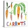 Carrots-Summer Tali Hilty-Stretched Canvas