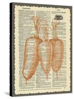 Carrots-Erin Clark-Stretched Canvas