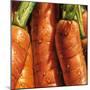 Carrots-null-Mounted Art Print