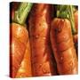 Carrots-null-Stretched Canvas