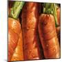 Carrots-null-Mounted Art Print