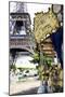 Carrousel de la Tour Eiffel-Philippe Hugonnard-Mounted Giclee Print