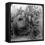 Carrying Dead Tigers Back to Camp, Behar Ungle, India, C1900s-Underwood & Underwood-Framed Stretched Canvas