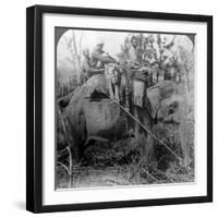 Carrying Dead Tigers Back to Camp, Behar Ungle, India, C1900s-Underwood & Underwood-Framed Photographic Print