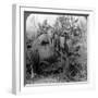 Carrying Dead Tigers Back to Camp, Behar Ungle, India, C1900s-Underwood & Underwood-Framed Photographic Print