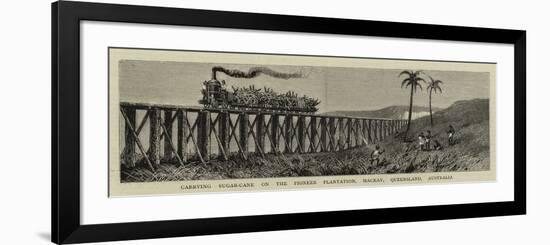 Carrying Sugar-Cane on the Pioneer Plantation, Mackay, Queensland, Australia-null-Framed Giclee Print