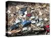Cars are Piled up Among Debris from Hurricane Katrina-null-Stretched Canvas