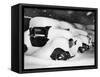Cars Buried by Heavy Snowfall-null-Framed Stretched Canvas