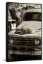 Cars - Ford - Route 66 - Gas Station - Arizona - United States-Philippe Hugonnard-Framed Stretched Canvas