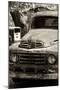 Cars - Ford - Route 66 - Gas Station - Arizona - United States-Philippe Hugonnard-Mounted Photographic Print