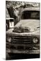 Cars - Ford - Route 66 - Gas Station - Arizona - United States-Philippe Hugonnard-Mounted Photographic Print