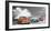 Cars in Avenida de Maceo, Havana, Cuba (BW)-Pangea Images-Framed Giclee Print