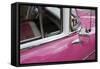 Cars of Cuba V-Laura Denardo-Framed Stretched Canvas