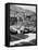 Cars on the Starting Grid, Monaco, 1950S-null-Framed Stretched Canvas