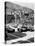 Cars on the Starting Grid, Monaco, 1950S-null-Stretched Canvas