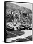 Cars on the Starting Grid, Monaco, 1950S-null-Framed Stretched Canvas