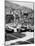 Cars on the Starting Grid, Monaco, 1950S-null-Mounted Photographic Print