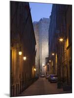 Cars Parked in a Street, Torre Dell'Elefante Tower, Il Castello Old Town, Sardinia, Italy-null-Mounted Premium Photographic Print