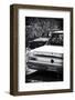 Cars - Route 66 - Gas Station - Arizona - United States-Philippe Hugonnard-Framed Photographic Print