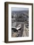 Cars Waiting to Cross United States-Mexico Border-null-Framed Photographic Print