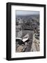 Cars Waiting to Cross United States-Mexico Border-null-Framed Photographic Print