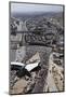 Cars Waiting to Cross United States-Mexico Border-null-Mounted Photographic Print