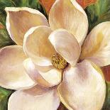 Magnolia Glow I-Carson-Giclee Print