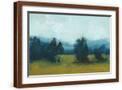Brown Frame