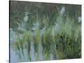 Stretched Canvas