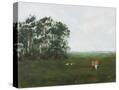 Stretched Canvas