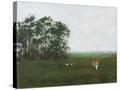 Stretched Canvas