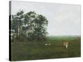 Stretched Canvas