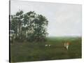 Stretched Canvas