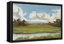 Canvas Black