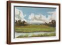 Brown Frame