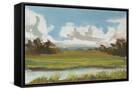 Canvas Black