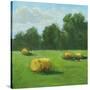 Stretched Canvas